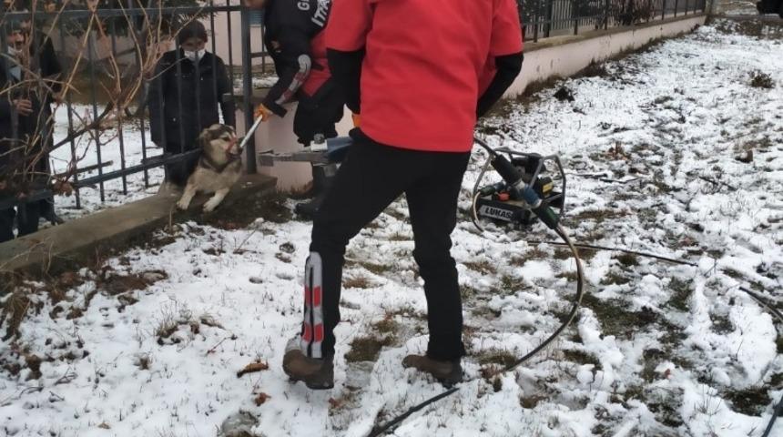 Bolu’da bahçe demirlerine sıkışan köpeği itfaiye kurtardı