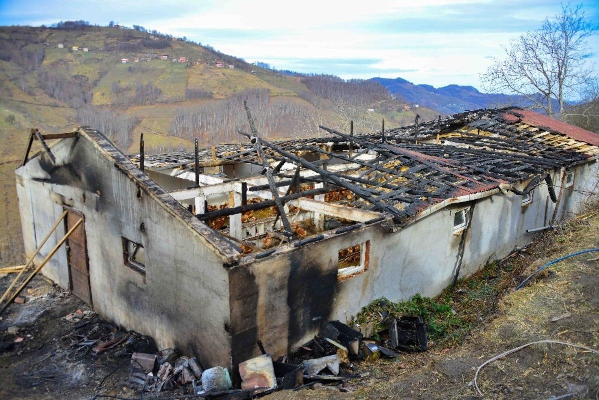 Ordu&rsquo;da yangın: 400 tavuk telef oldu