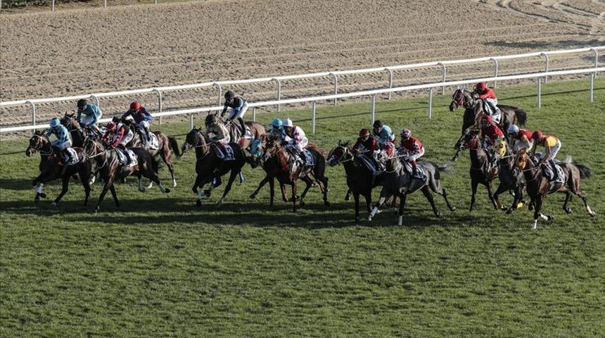 At yarışında d&uuml;nyanın en iyileri belli oldu