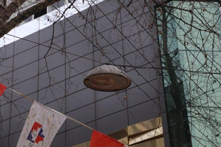 Fethiye Caddesindeki ağaçlar budanacak G1