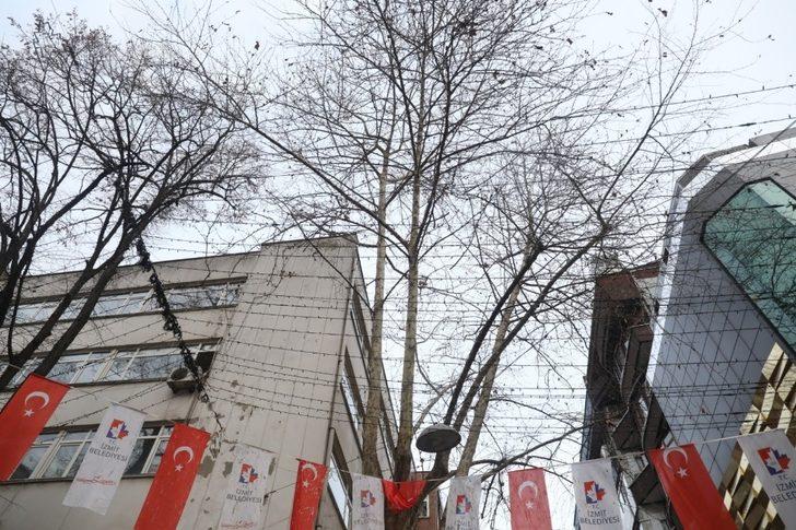 Fethiye Caddesindeki ağaçlar budanacak G2