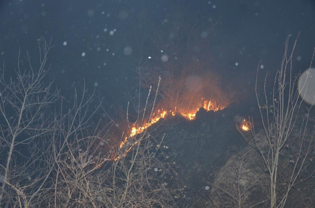 Ordu&rsquo;da &ouml;rt&uuml; yangınları devam ediyor