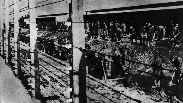 Auschwitz tutsakları, çitin yanındaa çukur kazarken.