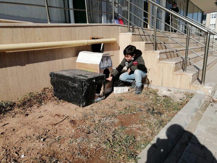 Aksaray’da çocuklar sokak hayvanlarını unutmadı G2