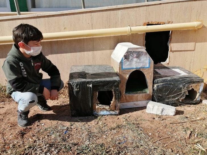 Aksaray’da çocuklar sokak hayvanlarını unutmadı G3