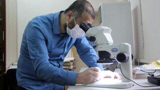 Bolu'da yeni bir bitki türü keşfedildi