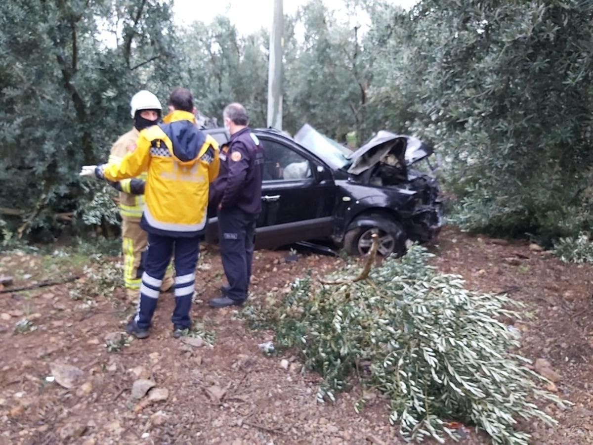 Yağışla gelen &ouml;l&uuml;m...Taklalar atarak zeytin bah&ccedil;esine u&ccedil;tu