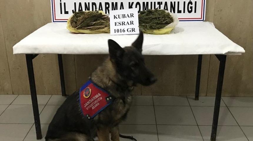 Motosikletin heybesinden uyuşturucu &ccedil;ıktı
