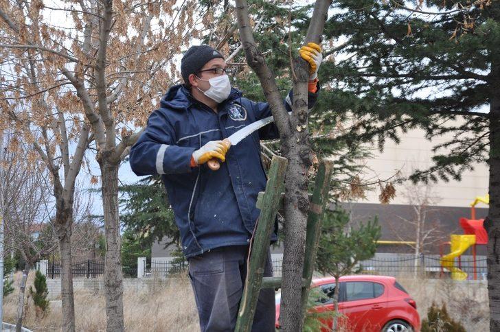 Ağaçlar budanıyor G1