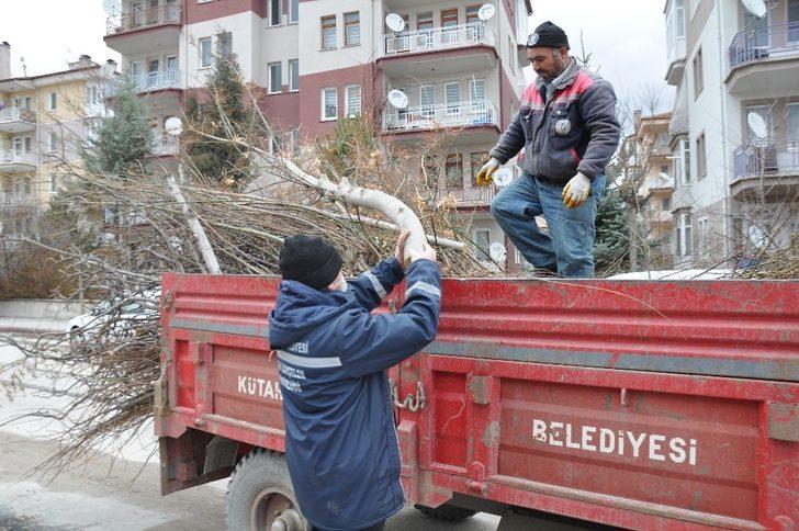 Ağaçlar budanıyor G2