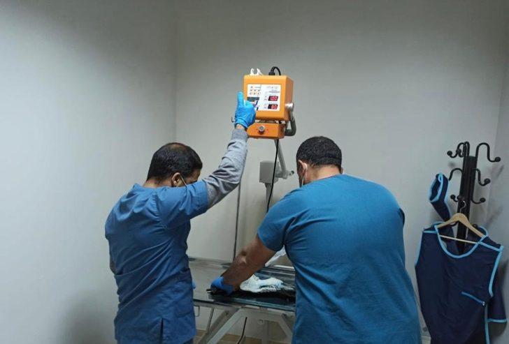 Avcıların yaraladığı leylek ile angut kuşu tedavi altına alındı G3