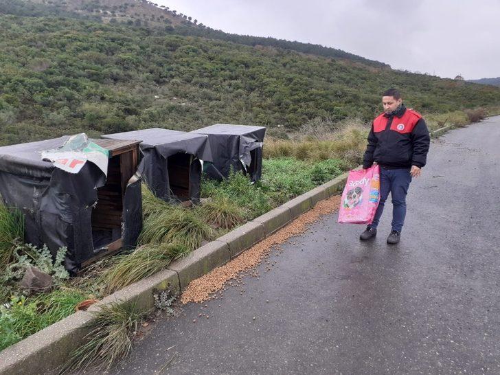 Maltepe Belediyesi 14 bin can dostunu tedavi etti G3