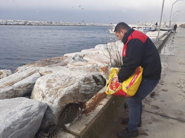Maltepe Belediyesi 14 bin can dostunu tedavi etti G5