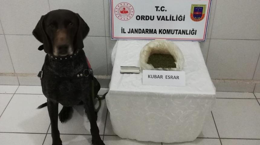 Ordu&rsquo;da uyuşturucu satışı yapan 2 torbacı yakalandı