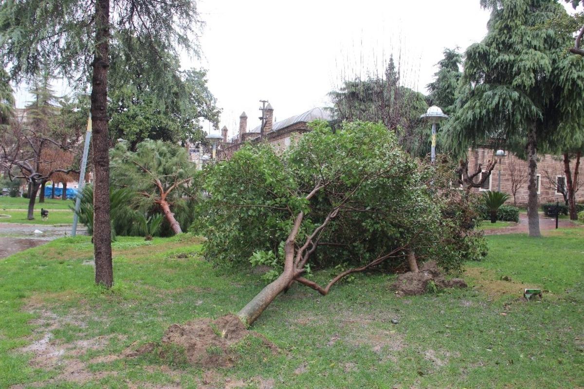 Manisa&rsquo;daki fırtınanın hasarı g&uuml;n ağarınca ortaya &ccedil;ıktı