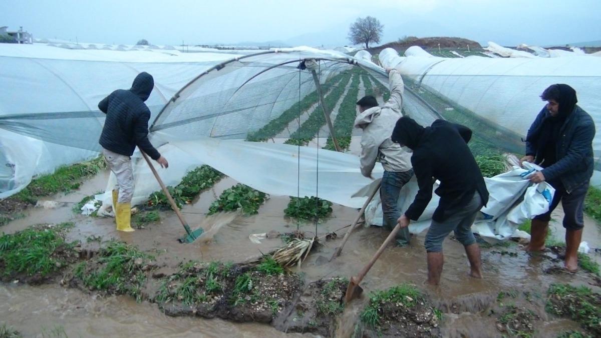 Antalya&rsquo;da fırtına ve yağmur &ccedil;ilek seralarını vurdu