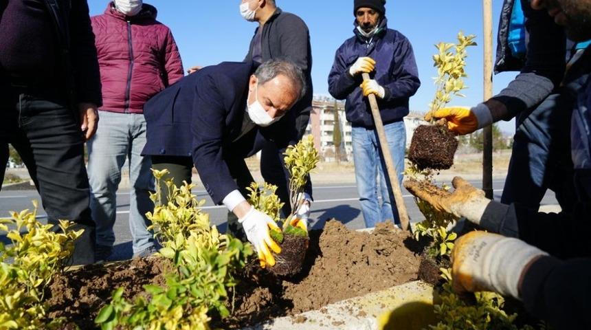 Başkan Kılın&ccedil;, ref&uuml;je &ccedil;i&ccedil;ek dikti