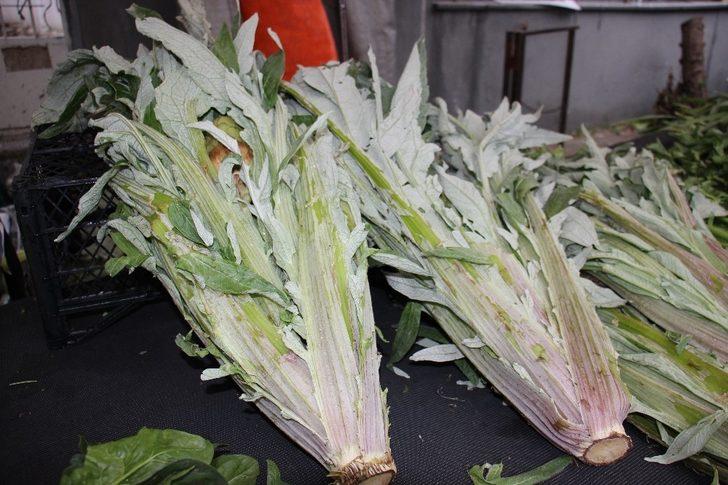 Soğuk hava enginar fiyatlarını etkilemedi G3