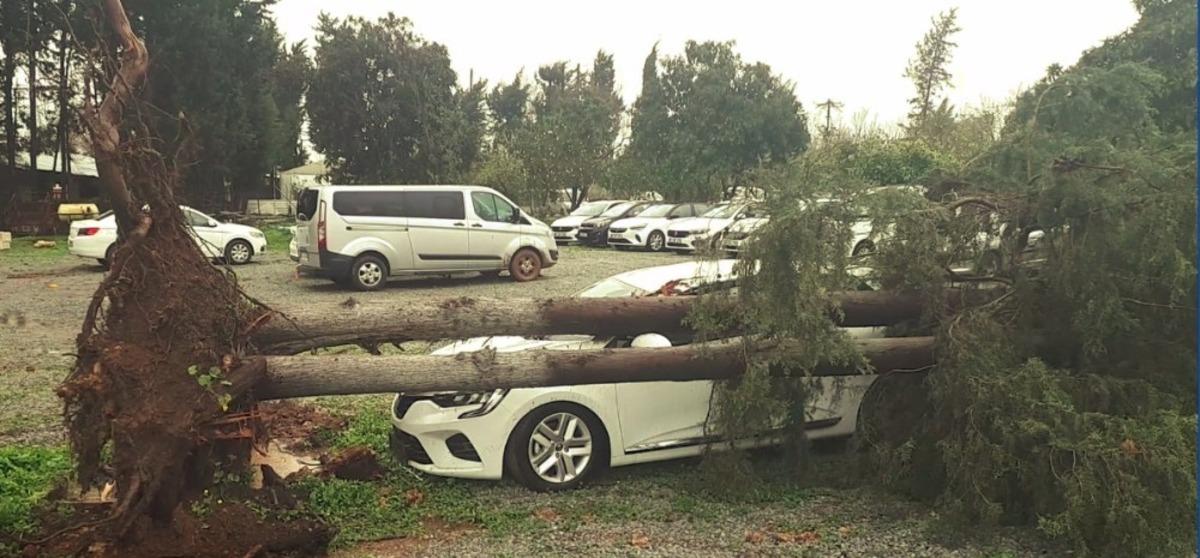 Devrilen ağa&ccedil; otomobili pert etti