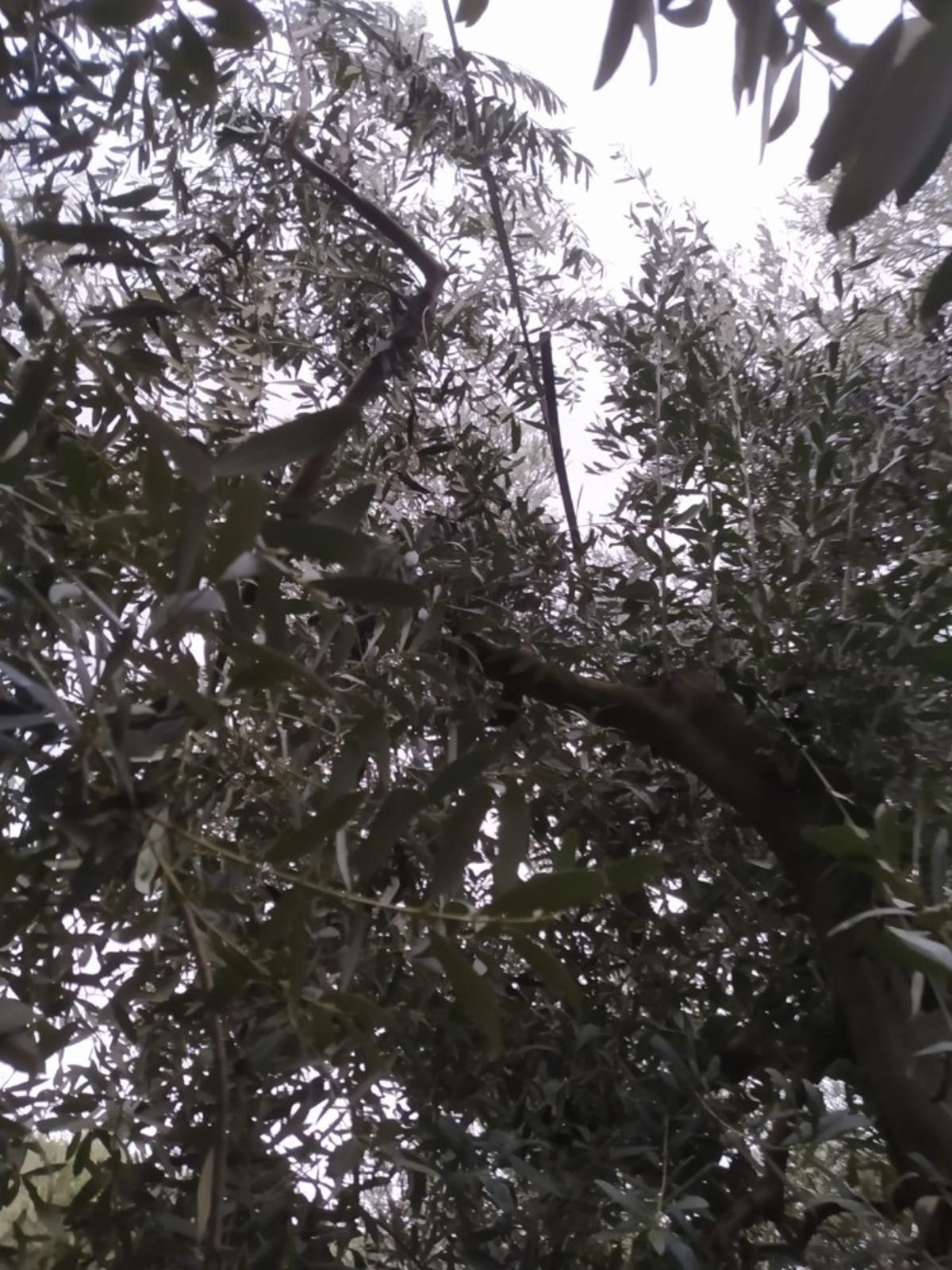 Hırsızlar k&ouml;y&uuml;n telefon kablolarını &ccedil;aldı &ouml;ğrenciler mağdur oldu