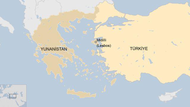 Midilli de 20 milyon yıllık taşlaşmış ağaç fosili bulundu 1