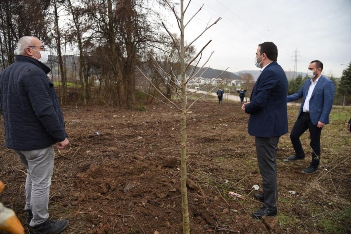 Başiskele&rsquo;de fidan dikimine devam ediliyor