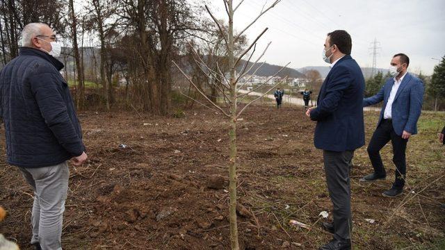 Başiskele’de fidan dikimine devam ediliyor