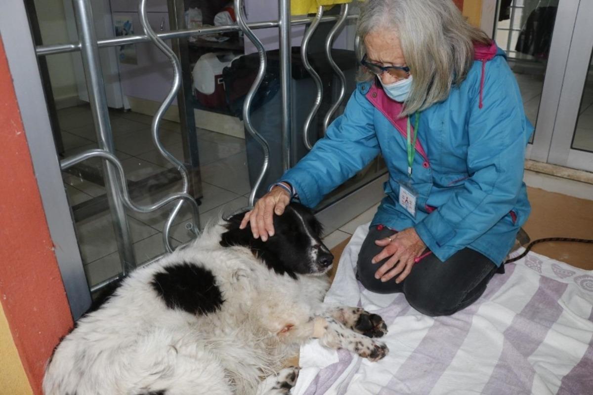 K&ouml;peğinin sopayla d&ouml;v&uuml;ld&uuml;ğ&uuml;n&uuml; iddia etti