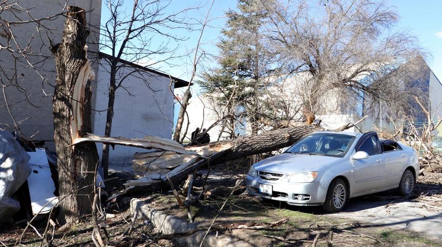 Saniyeler önce park ettiği otomobilinin üzerine ağaç devrildi