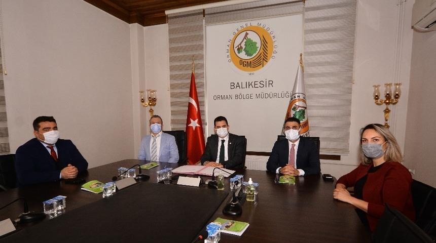 T&uuml;mad&rsquo;dan Yeşil Vatana 25 bin fidan