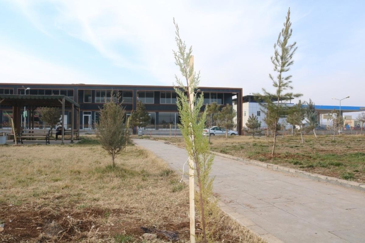 Bismil Devlet Hastanesi bah&ccedil;esine 600 fidan dikildi