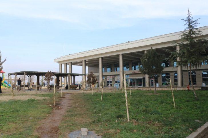 Bismil Devlet Hastanesi bahçesine 600 fidan dikildi G2