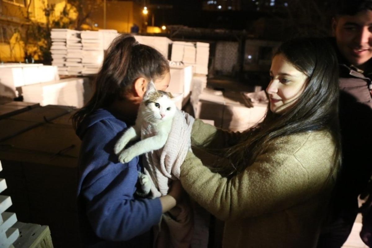 Mermer paletlerin arasına sıkışan kediyi itfaiye ekipleri kurtardı