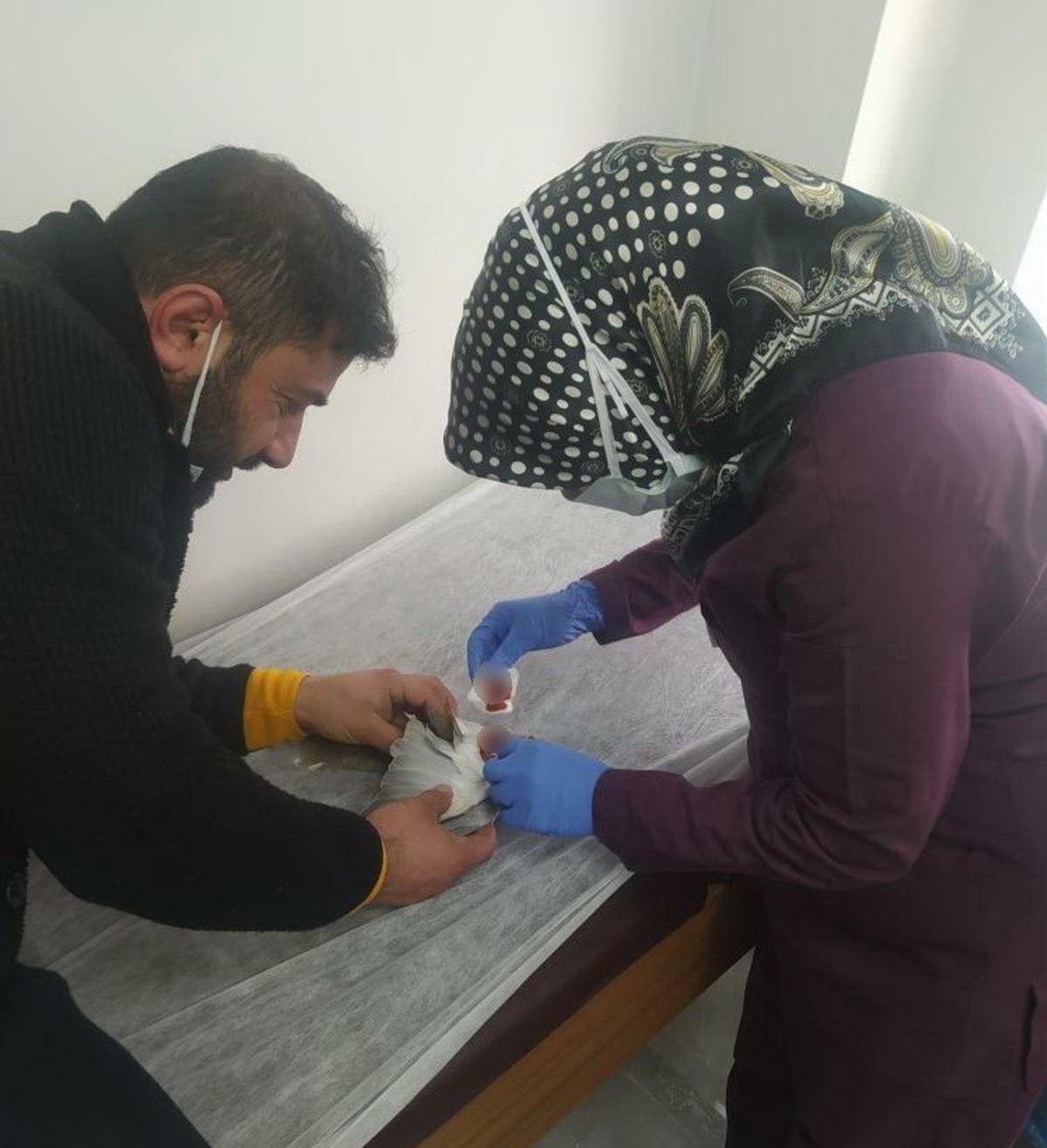 Yaralı g&uuml;vercin Devlet Hastanesinde tedavi edildi