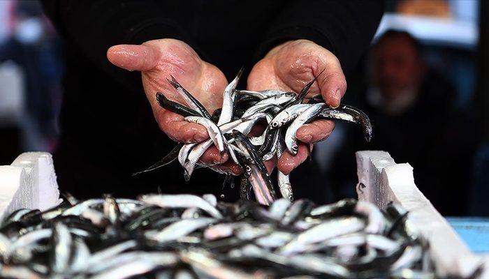 Tarım ve Orman Bakanlığı'ndan hamsi avına ilişkin yeni açıklama