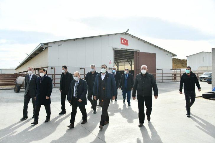 Masatlı ve Dağlı’dan Suluova TDİ Besi OSB’de inceleme G2