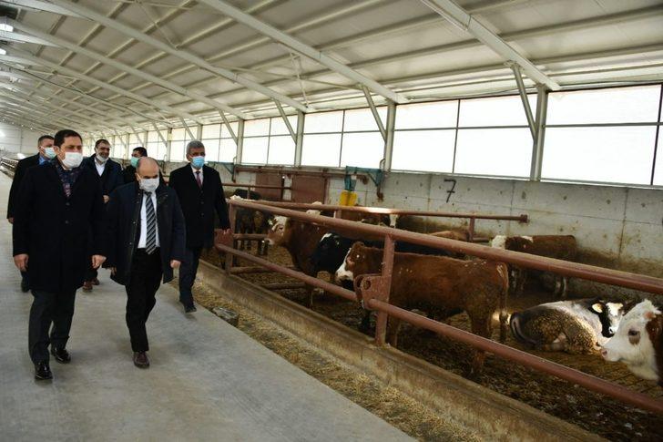 Masatlı ve Dağlı’dan Suluova TDİ Besi OSB’de inceleme G3