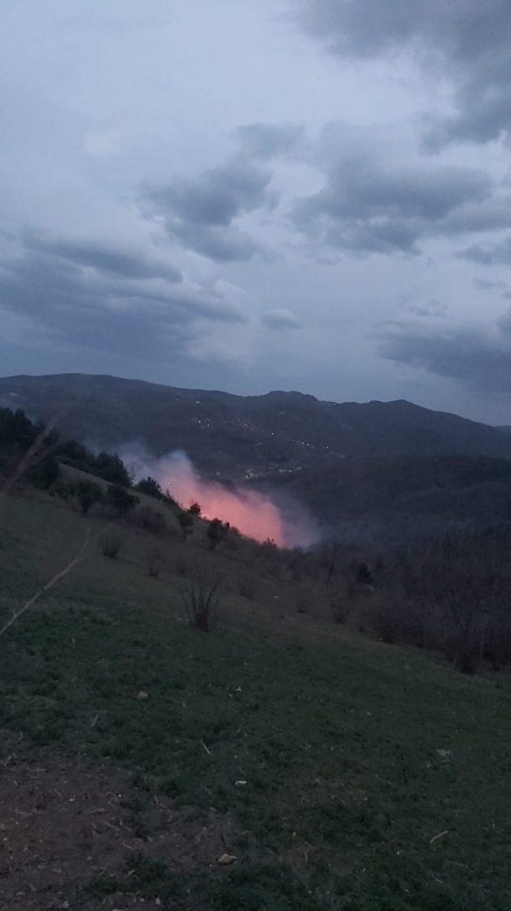 Sinop’ta orman yangını G2