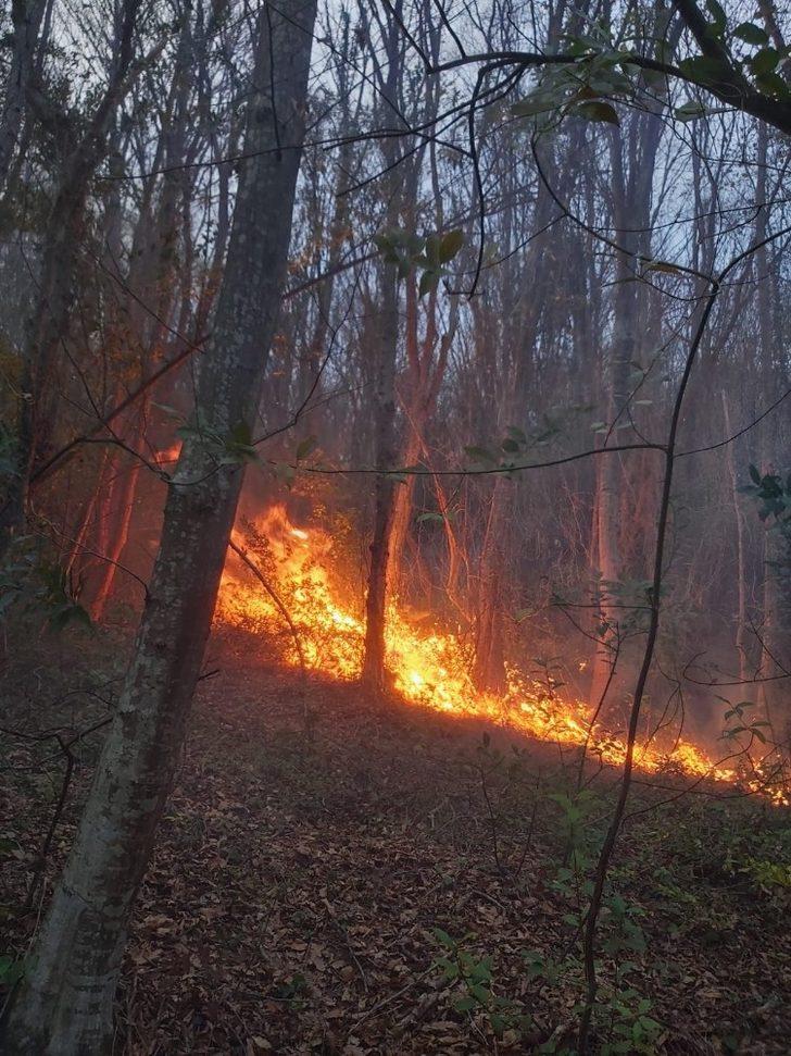 Sinop’ta orman yangını G3