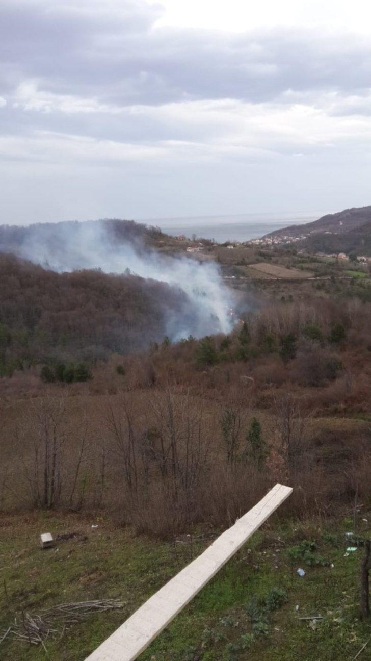 Sinop’ta orman yangını G4