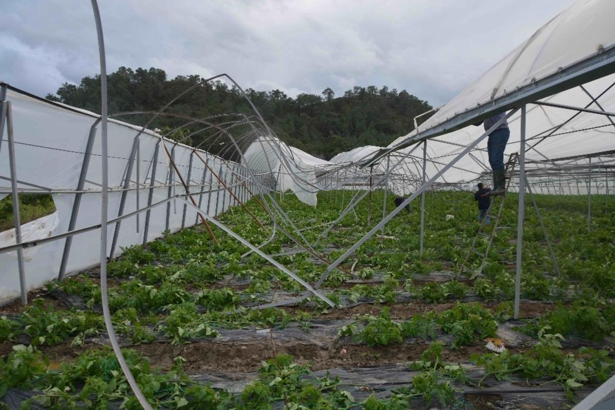 Ortaca&rsquo;da fırtına seralara zarar verdi