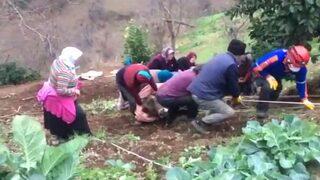 Görüntü Trabzon'dan! Tüm mahalleli seferber oldu