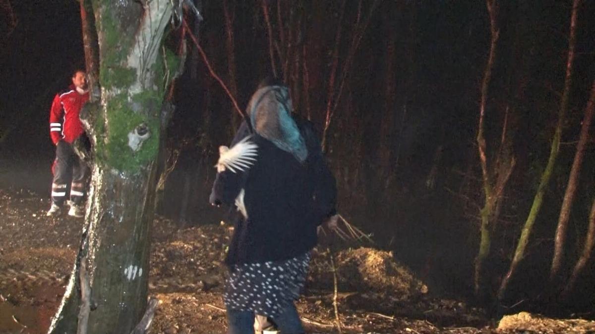 Beykoz&rsquo;da mandırada yangın &ccedil;ıktı, hayvanlar telef oldu
