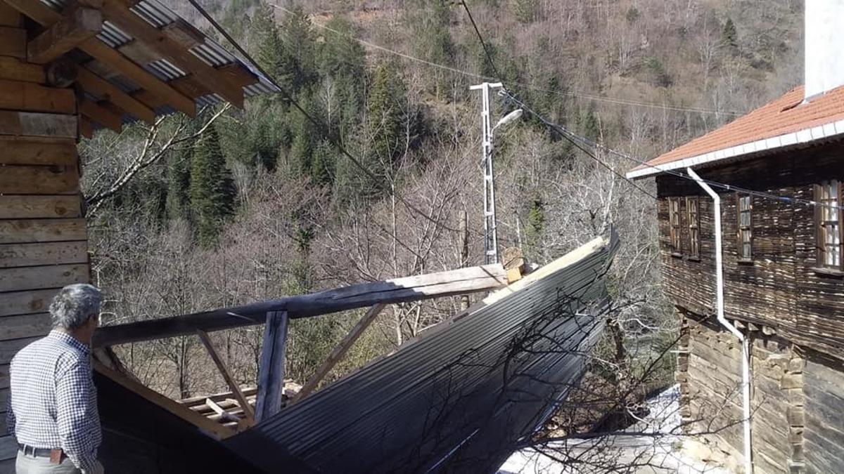 Kastamonu&rsquo;da fırtına ağa&ccedil;ları devirdi, &ccedil;atıları u&ccedil;urdu