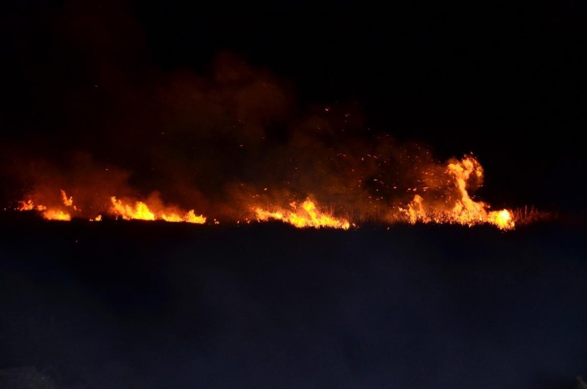 Samsun&rsquo;da sazlık yangını