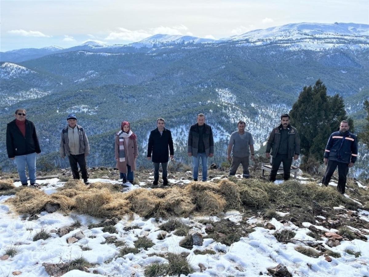 Altıntaş&rsquo;ta yaban hayatına yem desteği