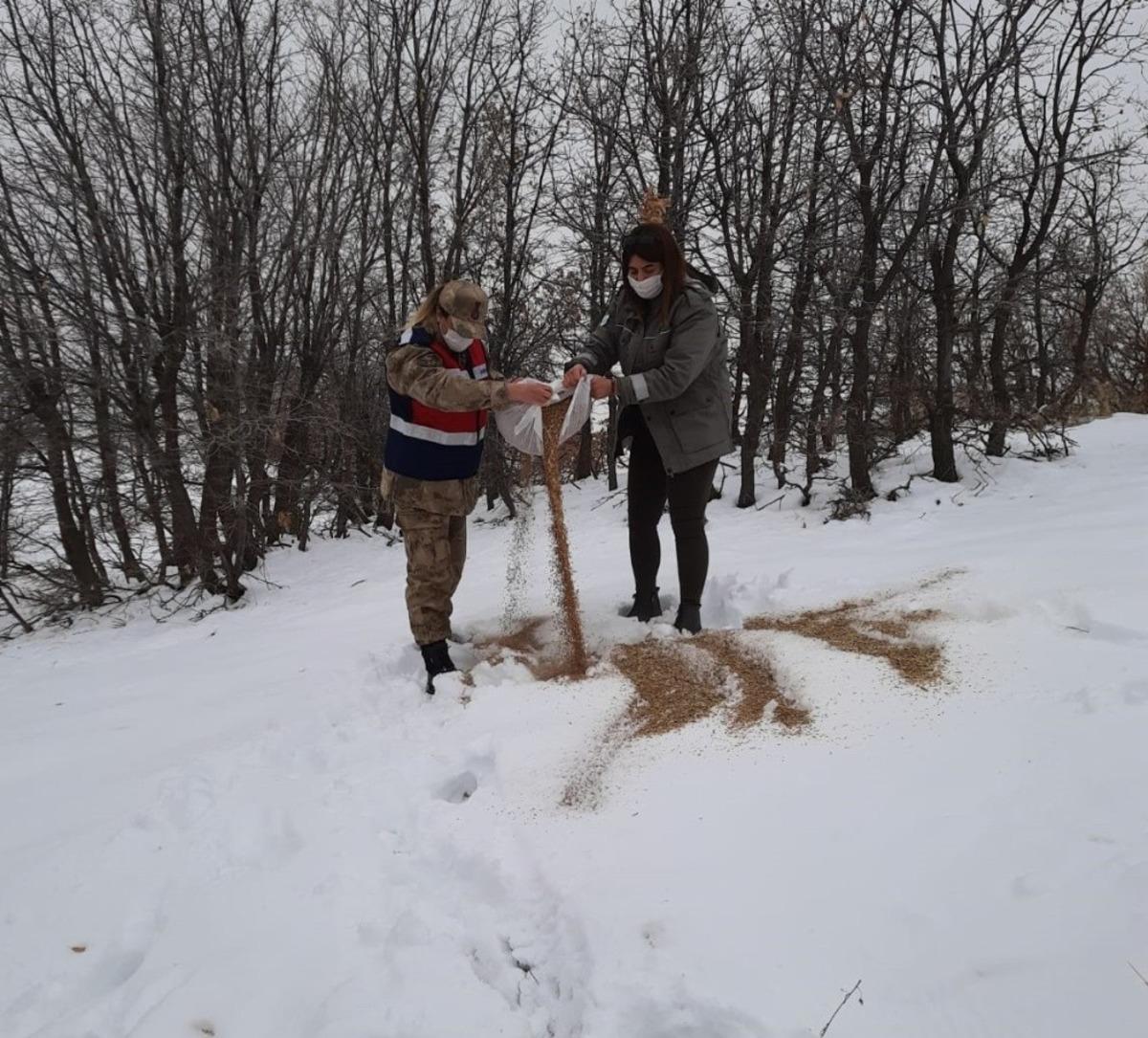 Tunceli&rsquo;de doğaya keklik ve yem bırakıldı