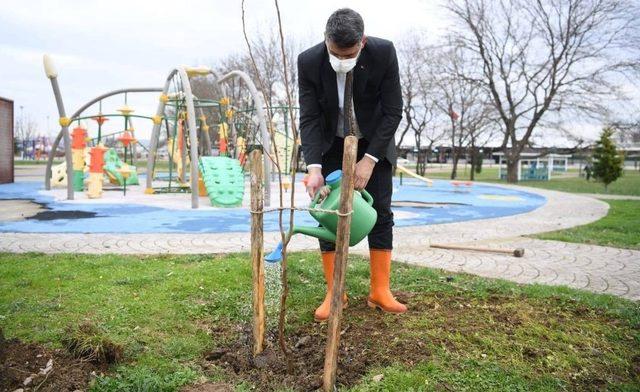 Kartepe’de her yıl bin 100 fidan toprakla buluşacak