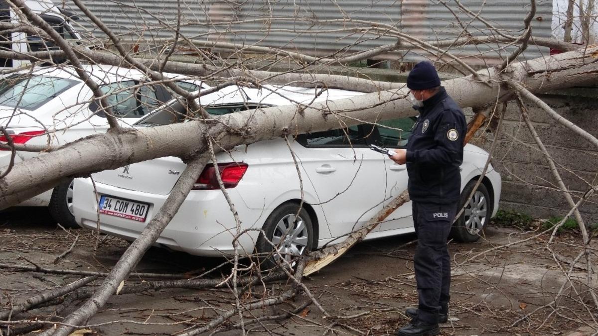 Samsun&rsquo;da şiddetli r&uuml;zgarda kırılan ağa&ccedil; otomobilin &uuml;zerine d&uuml;şt&uuml;