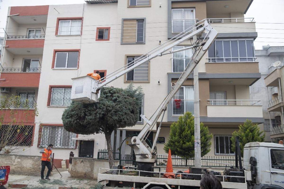 Ara&ccedil;ları kaldırıp ağa&ccedil;ları budadılar